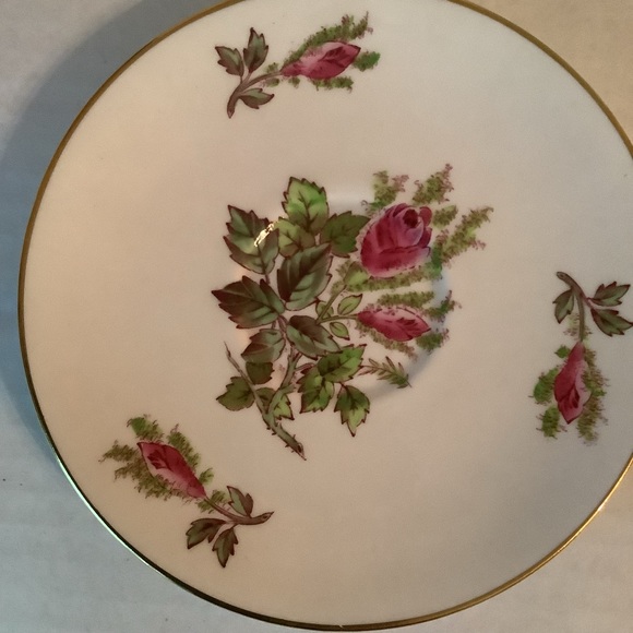 Royal Chelsea Bone China Teacup & Saucer Moss Ross - Picture 8 of 13